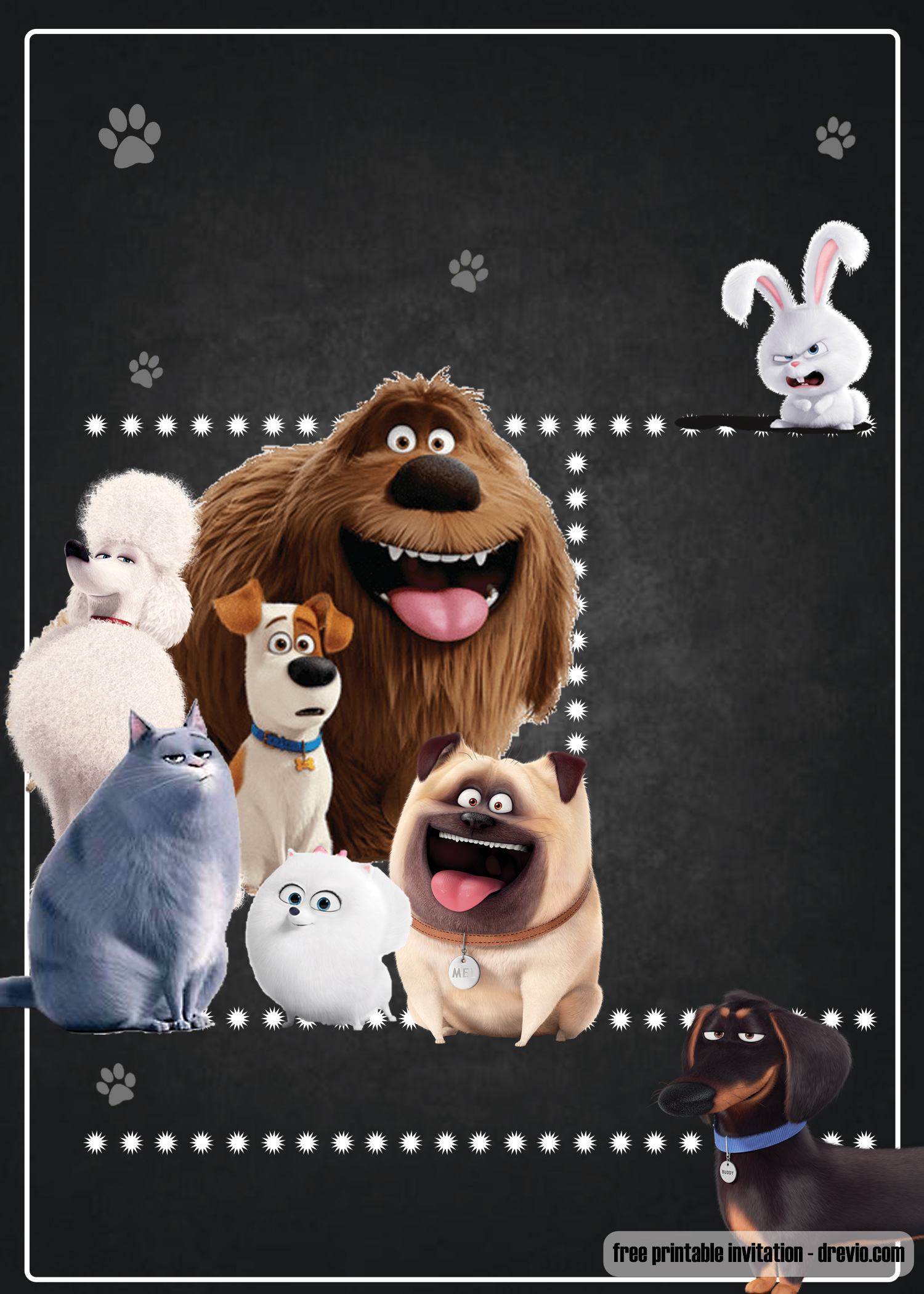 secret life pets