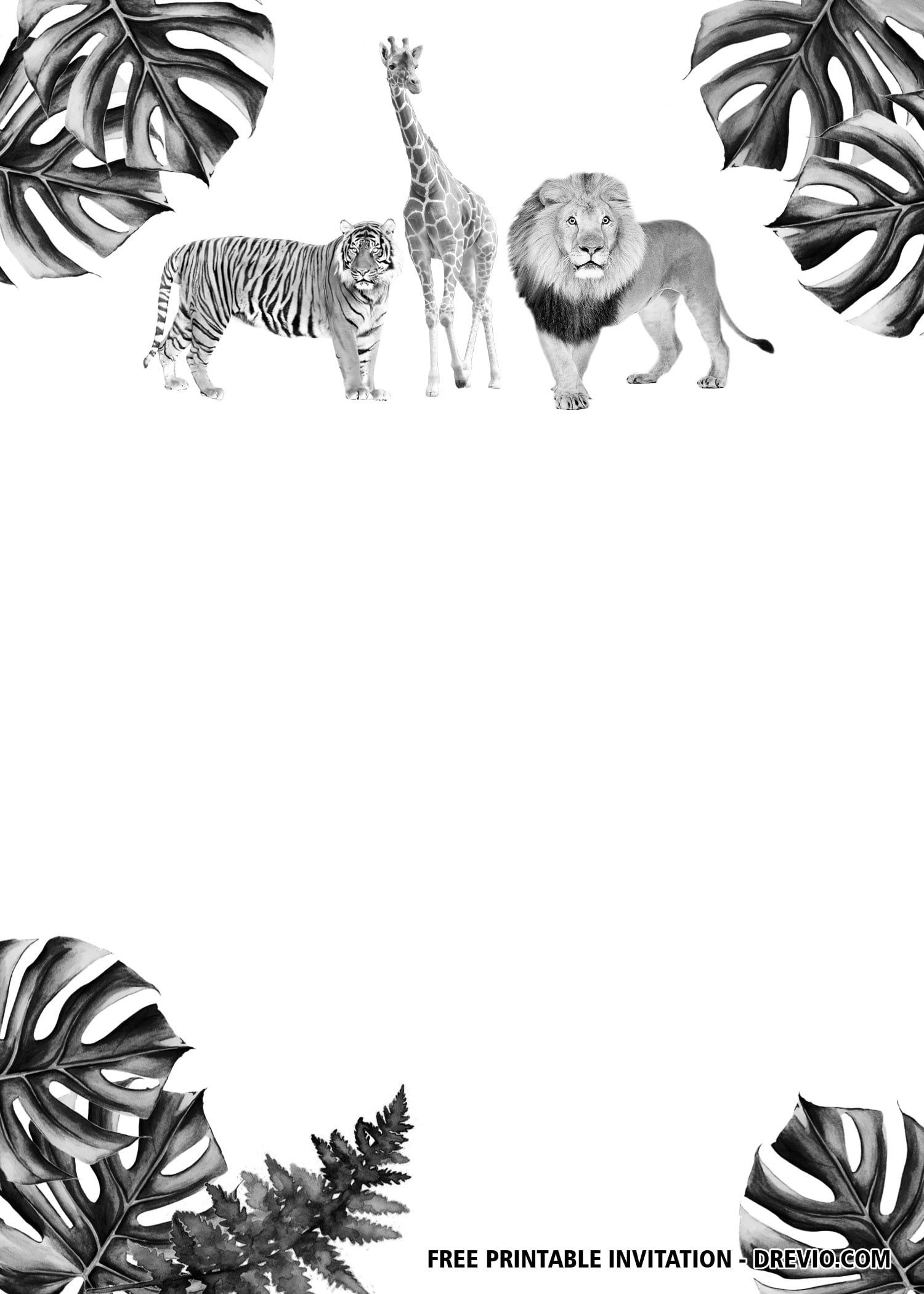 Jungle Safari invitation 5