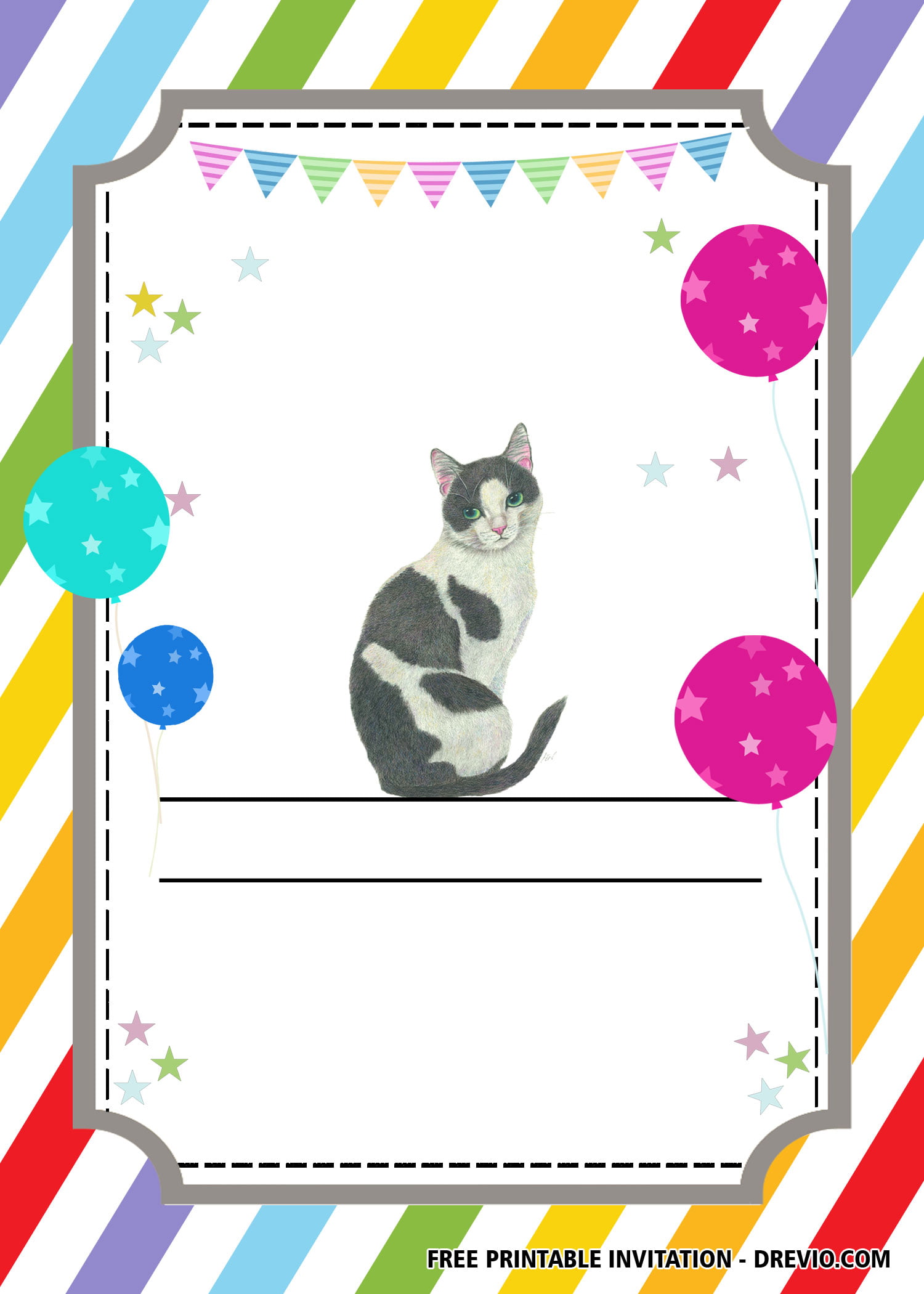 belum cat party Birthday Invitation 4