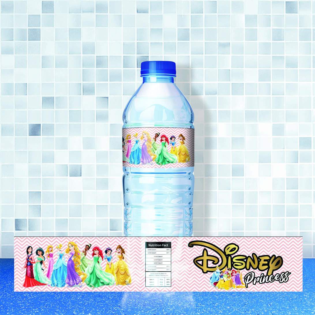 disney mockupA