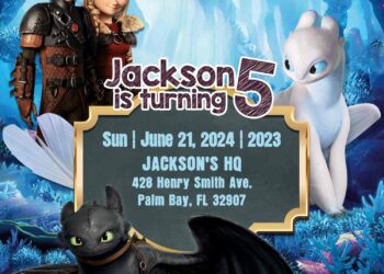 8+ How To Train Your Dragon Birthday Invitation Templates