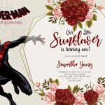 8+ Scatter All Over Spiderverse Birthday Invitation Templates