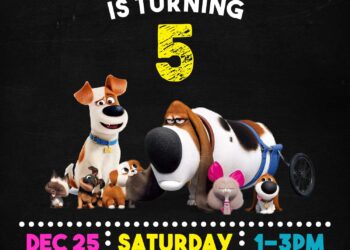 7+ Colorful Secret Life Of Pets Chalkboard Birthday Invitation Templates
