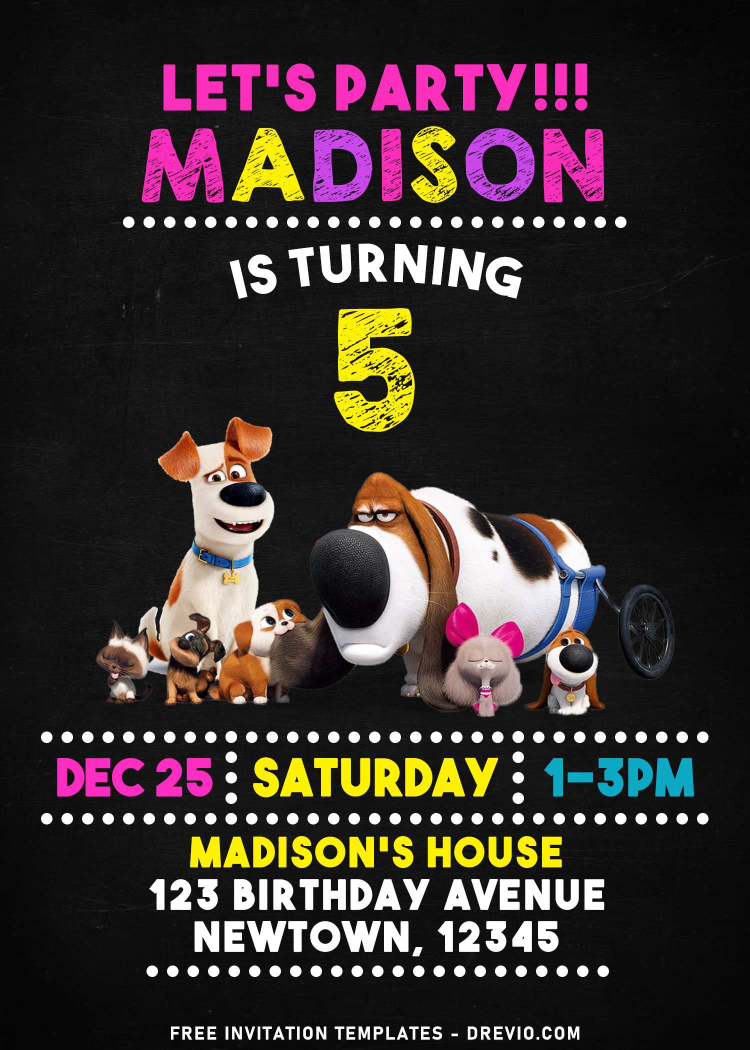 7+ Colorful Secret Life Of Pets Chalkboard Birthday Invitation Templates