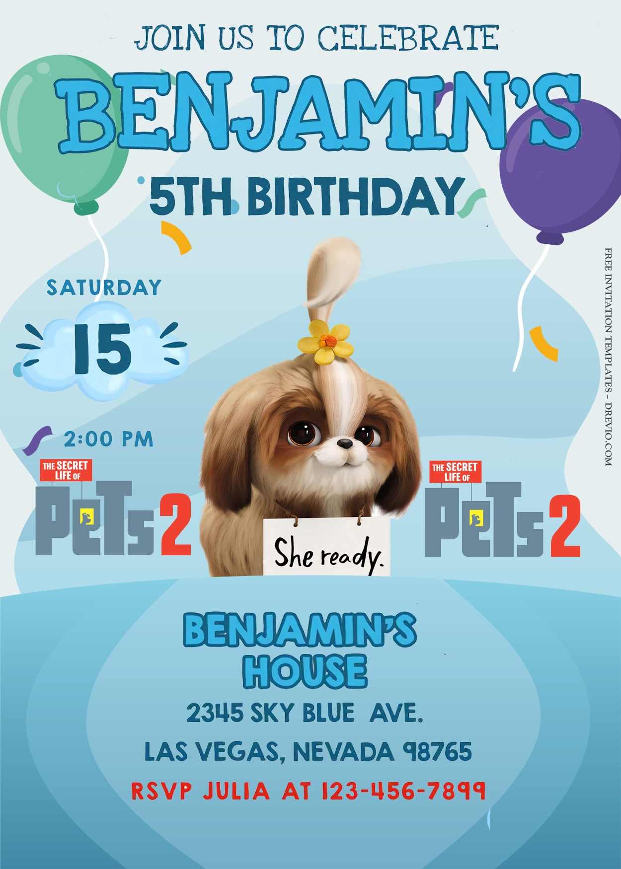9+ The Secret Life Of Pet Birthday Invitation Templates