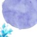 Blue Lily Invitation3 1