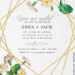 7+ Rustic Terracotta Flowers Birthday Invitation Templates