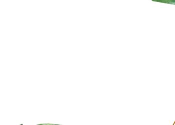 Green Tropical Invitation4 1