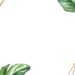 Green Tropical Invitation4 1
