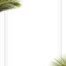 Palm Leaf Invitation5 1
