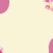 Pink Orchid Flower3 1