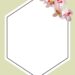 Pink and White Orchid3 1