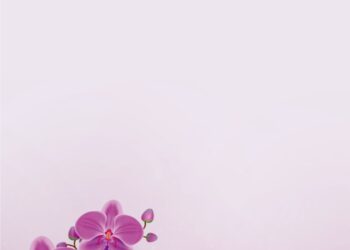 Purple Orchid Flower3 1