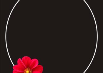 Red Dahlia Invitation3 1