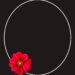 Red Dahlia Invitation3 1