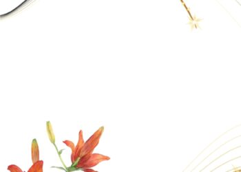 Red Lily Invitation6 1