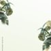 Tropical Leaf Frame 7