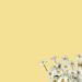 White Daisy Invitation5 1