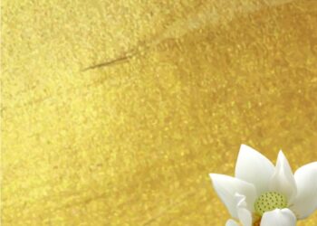 White Lotus Invitation5 1