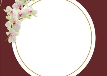 White Orchid Flower2 1