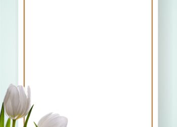 White Tulip Invitation2 1