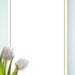 White Tulip Invitation2 1