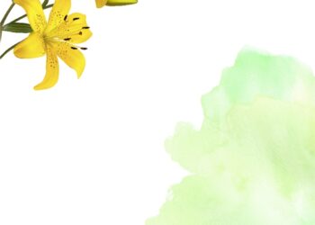 Yellow Lily Invitation3 1