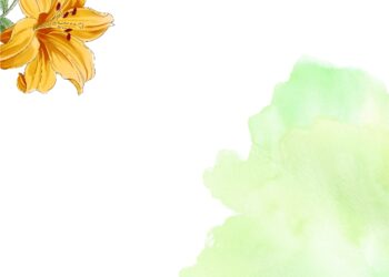 Yellow Lily Invitation5 2