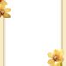 Yellow Orchid Flower4 1