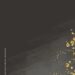 Chic Matte Black Wedding6