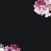 Flower in Black Base7