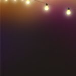 Plan a Memorable Dinner Birthday Party