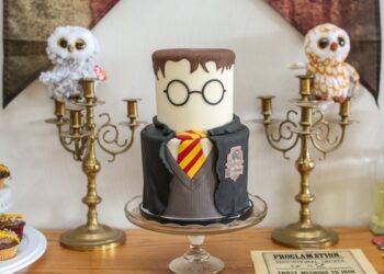 Harry Potter Party Cake (Credit: prettymyparty)