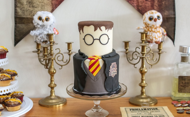 Harry Potter Party Cake (Credit: prettymyparty)