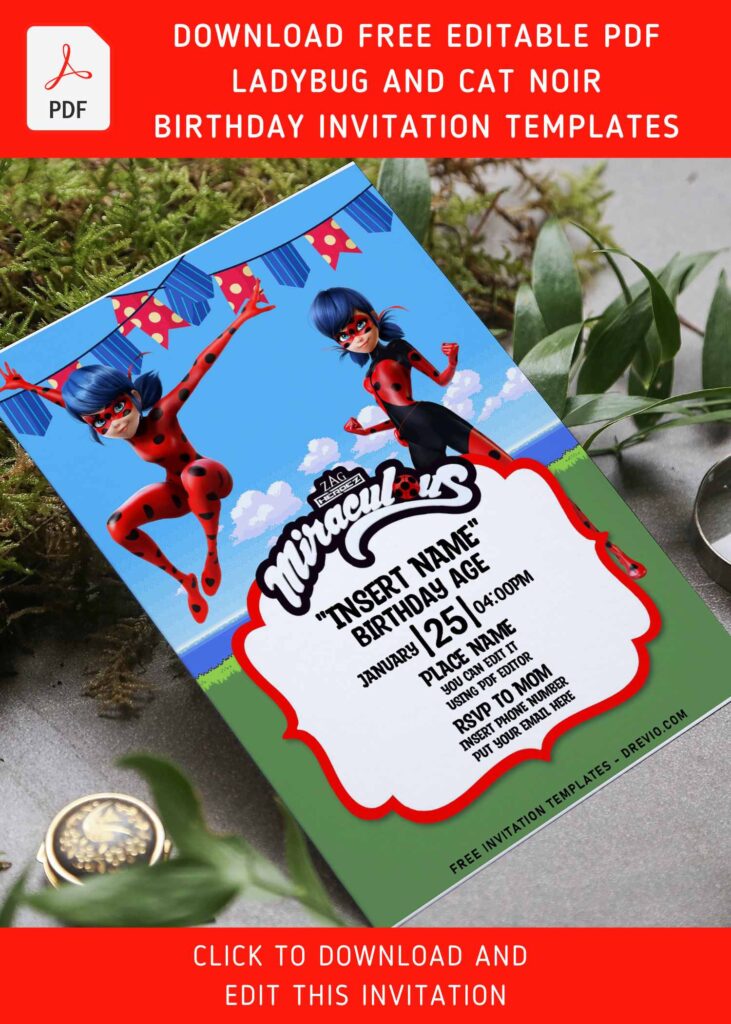 Free Editable PDF Adorable Ladybug And Cat Noir Birthday Invitation Templates