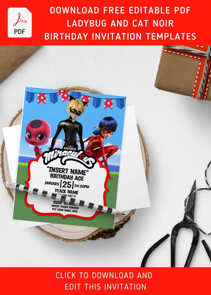 Free Editable PDF Cute Ladybug And Cat Noir Birthday Invitation Templates
