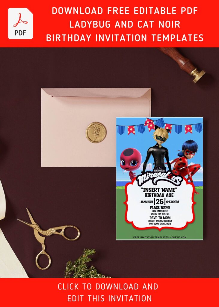 Free Editable PDF Ladybug And Cat Noir Birthday Invitation Templates