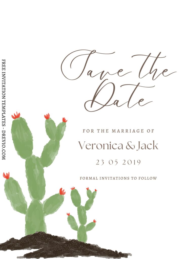 10 Cactus Birthday Invitation Templates