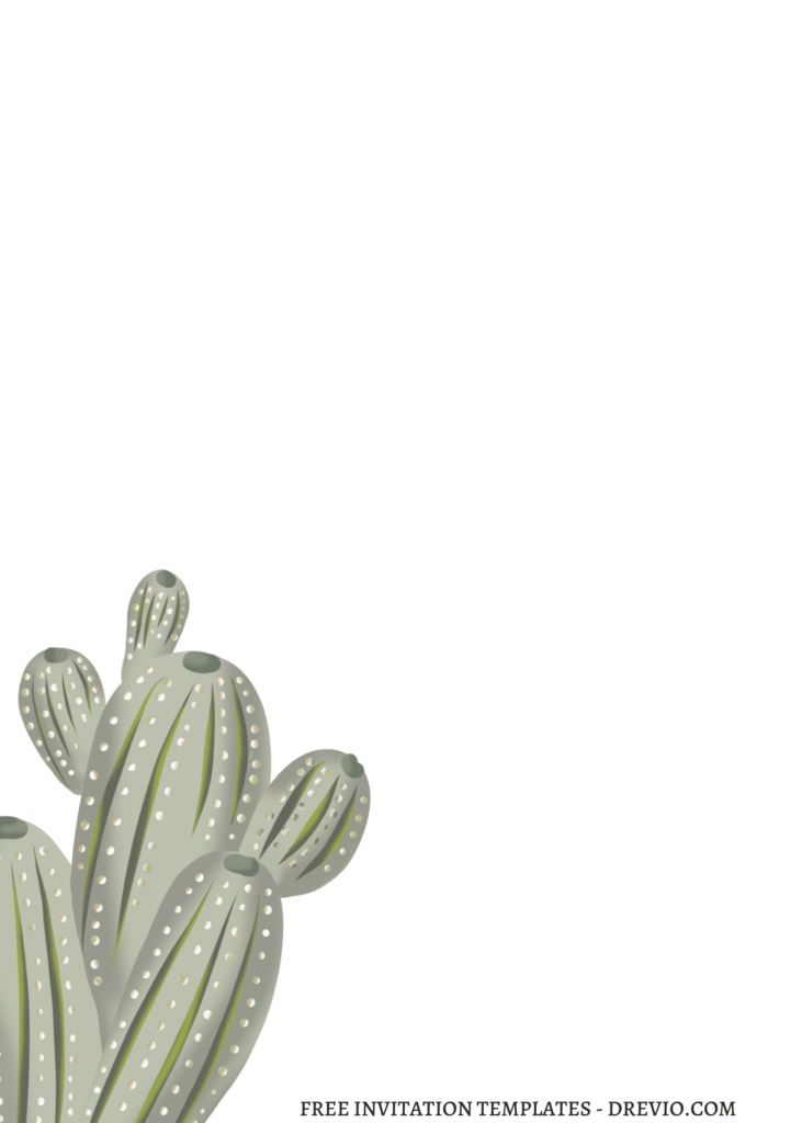10 Summer Fiesta Cactus Birthday Invitation Templates