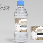 (Free) Baymax Canva Birthday Water Bottle Labels