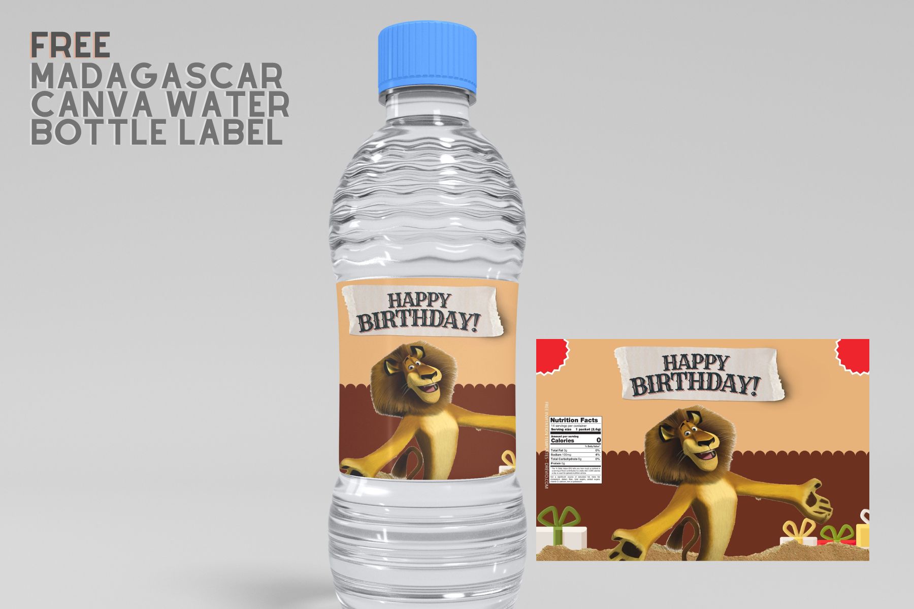 FREE EDITABLE – 7+ Madagascar Canva Birthday Water Bottle Labels