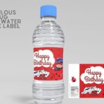 (Free Editable) Miraculous Ladybug Canva Water Bottle Labels