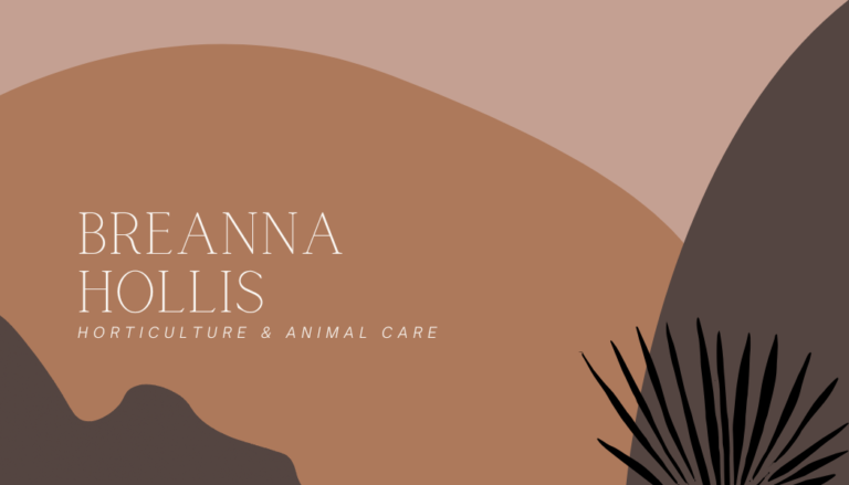 Botanical Boho Business Card Templates - Editable Canva Templates with modern geometric shapes