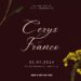 Free Editable Burgundy Pressed Yellow Flower Wedding Invitation