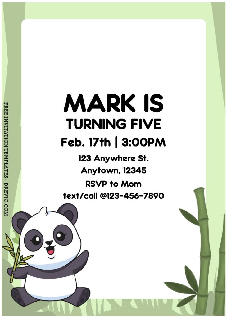 Party Panda C