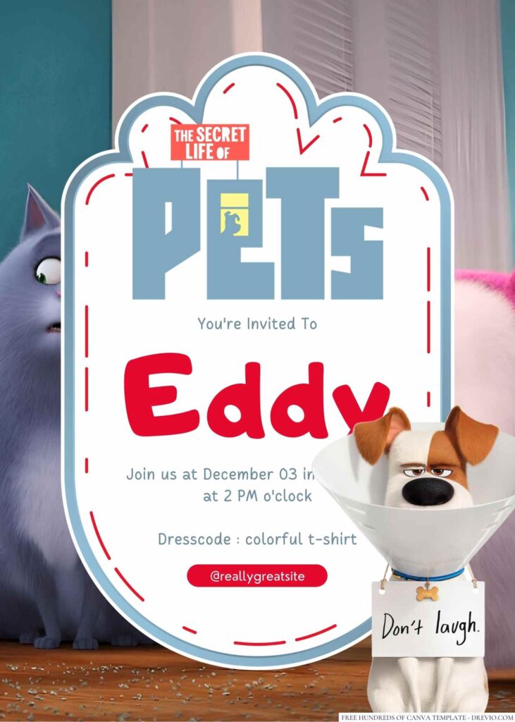 The Secret Life Of Pets Birthday Invitation