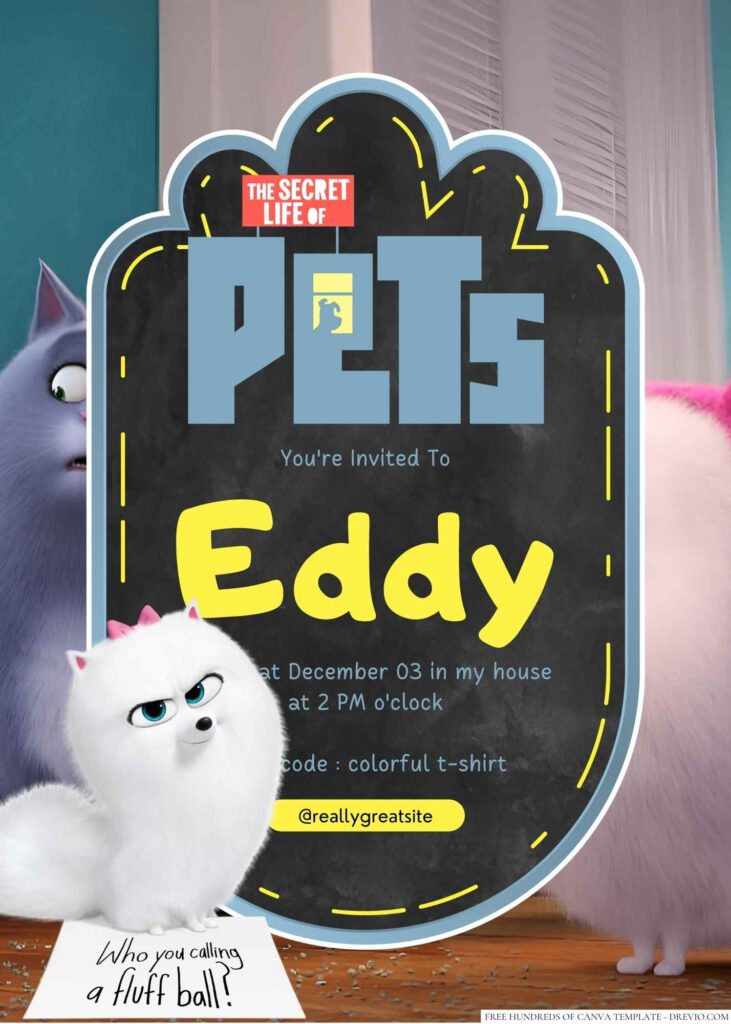 The Secret Life Of Pets Birthday Invitation