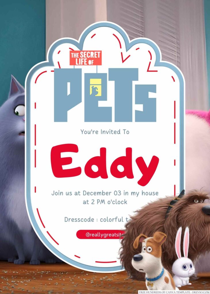 The Secret Life Of Pets Birthday Invitation