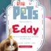The Secret Life Of Pets Birthday Invitation