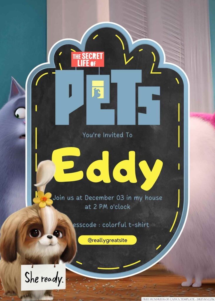 The Secret Life Of Pets Birthday Invitation
